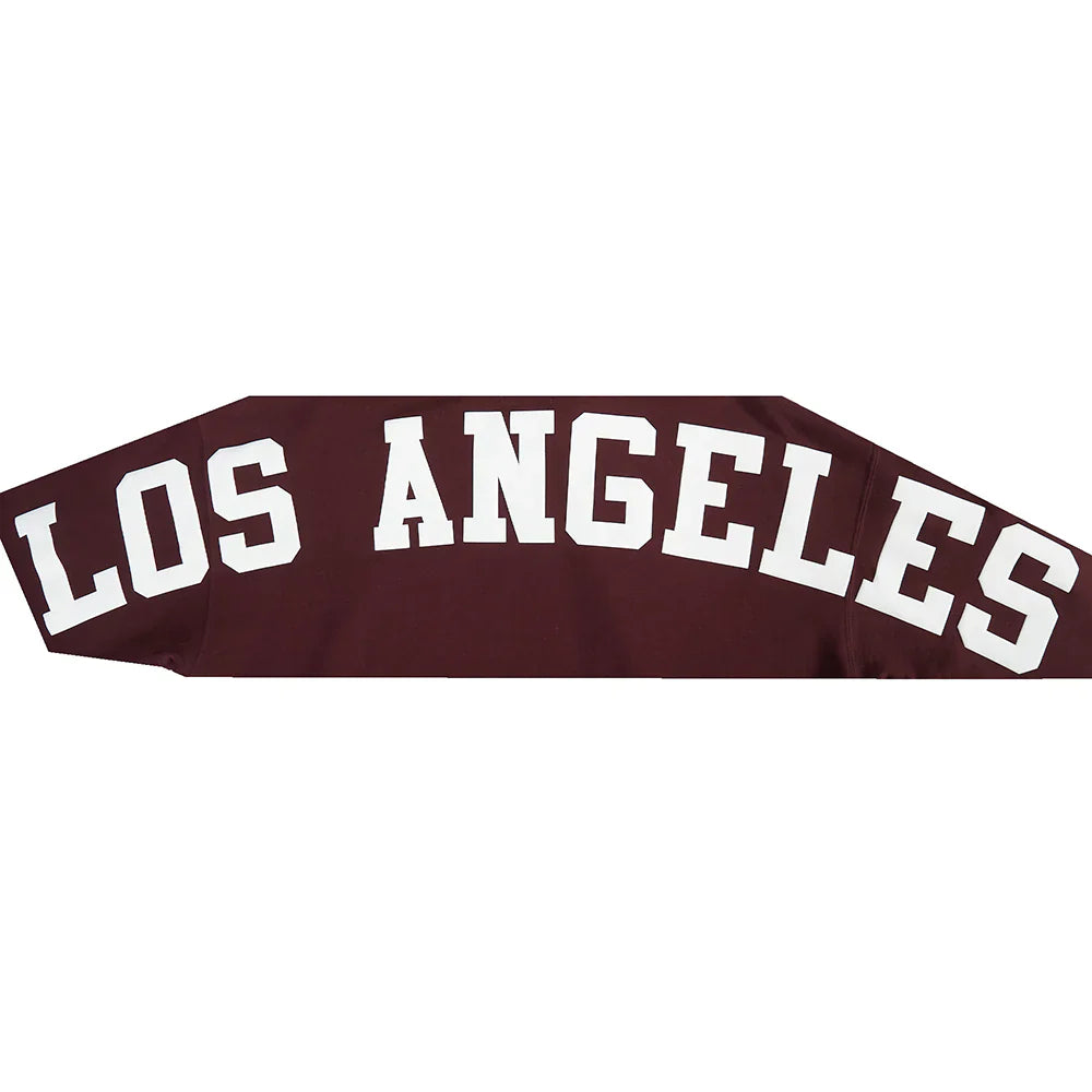 La Dodgers Wingspan Hoodie