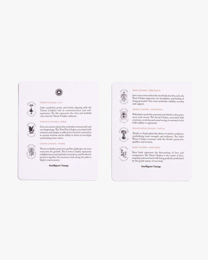 Chakra Balancing Affirmations Deck
