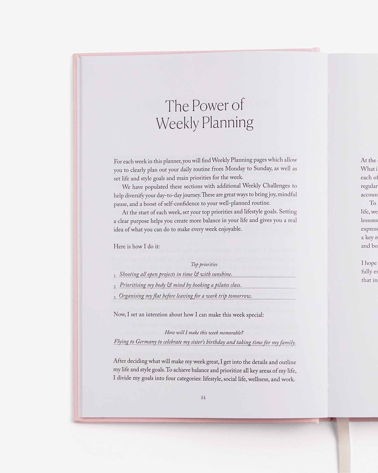 Life & Style Planner - Light Pink